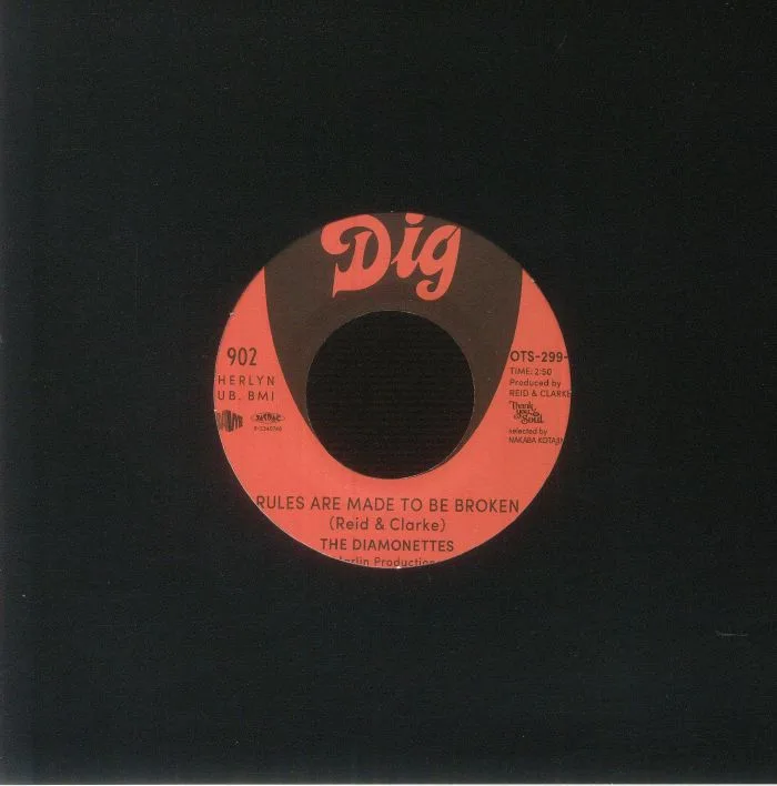Back cover — The DIAMONETTES — Don't Be Surprised