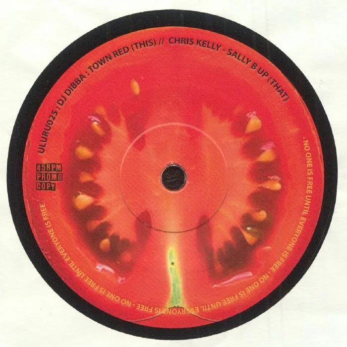 Back cover — Chris KELLY / DJ DIBBA — Sally B Up