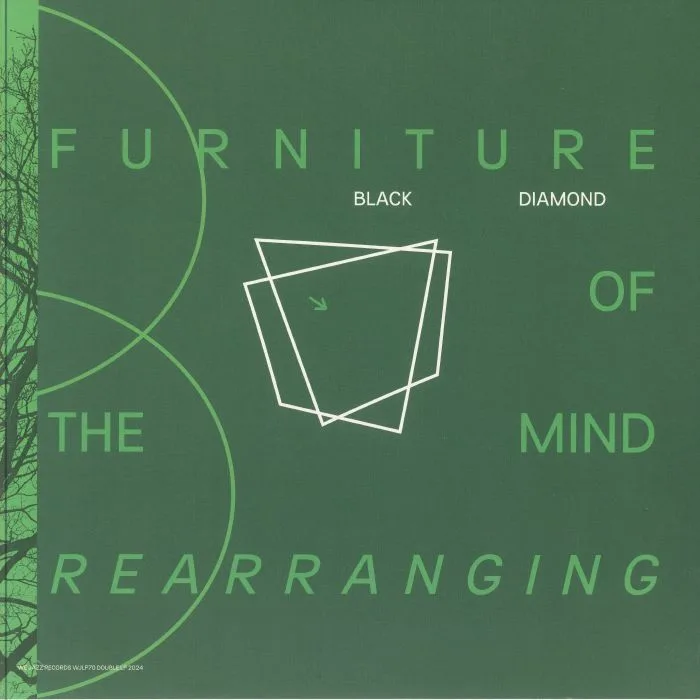 BLACK DIAMOND — Furniture Of The Mind Rearranging