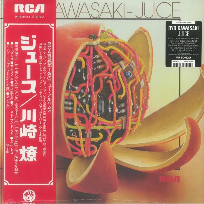 Ryo KAWASAKI — Juice (reissue)