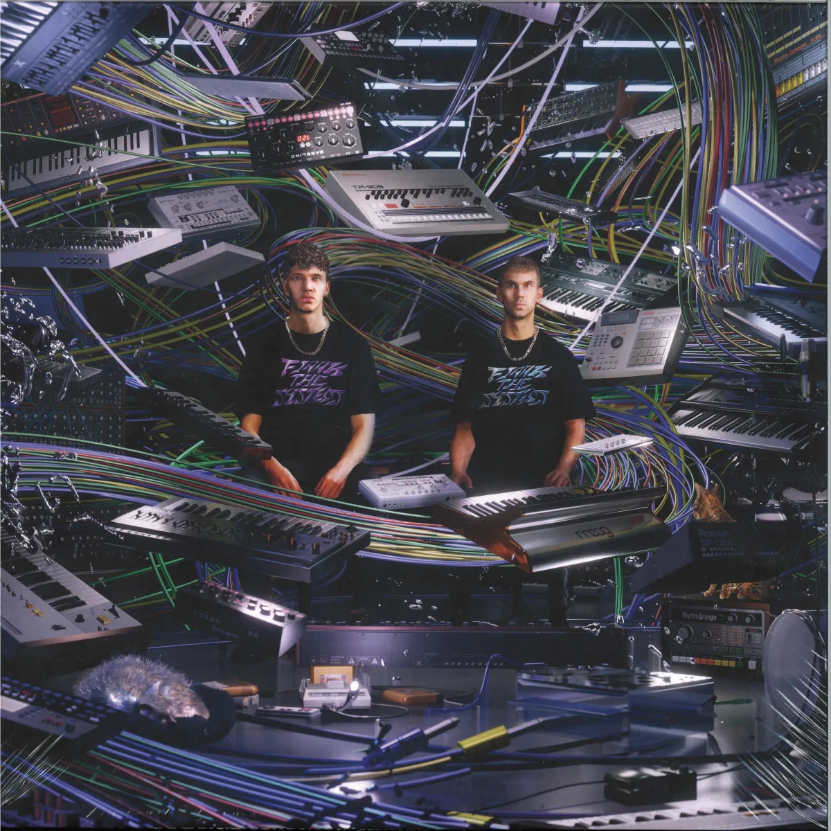 FJAAK — FJAAK THE SYSTEM LP 4x12"