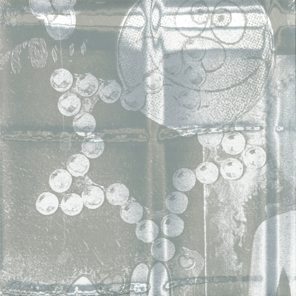 Officium — LIGHT TRAP LP