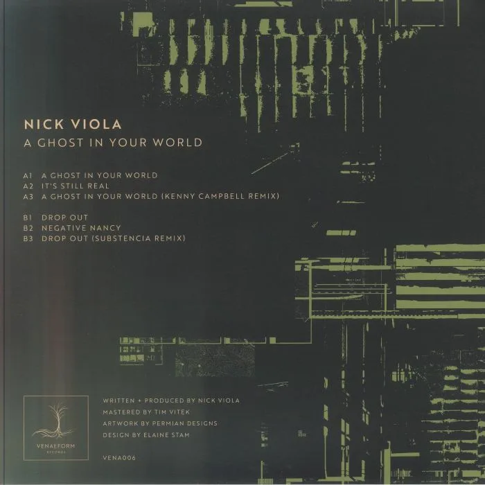 Back cover — Nick VIOLA — A Ghost In Your World