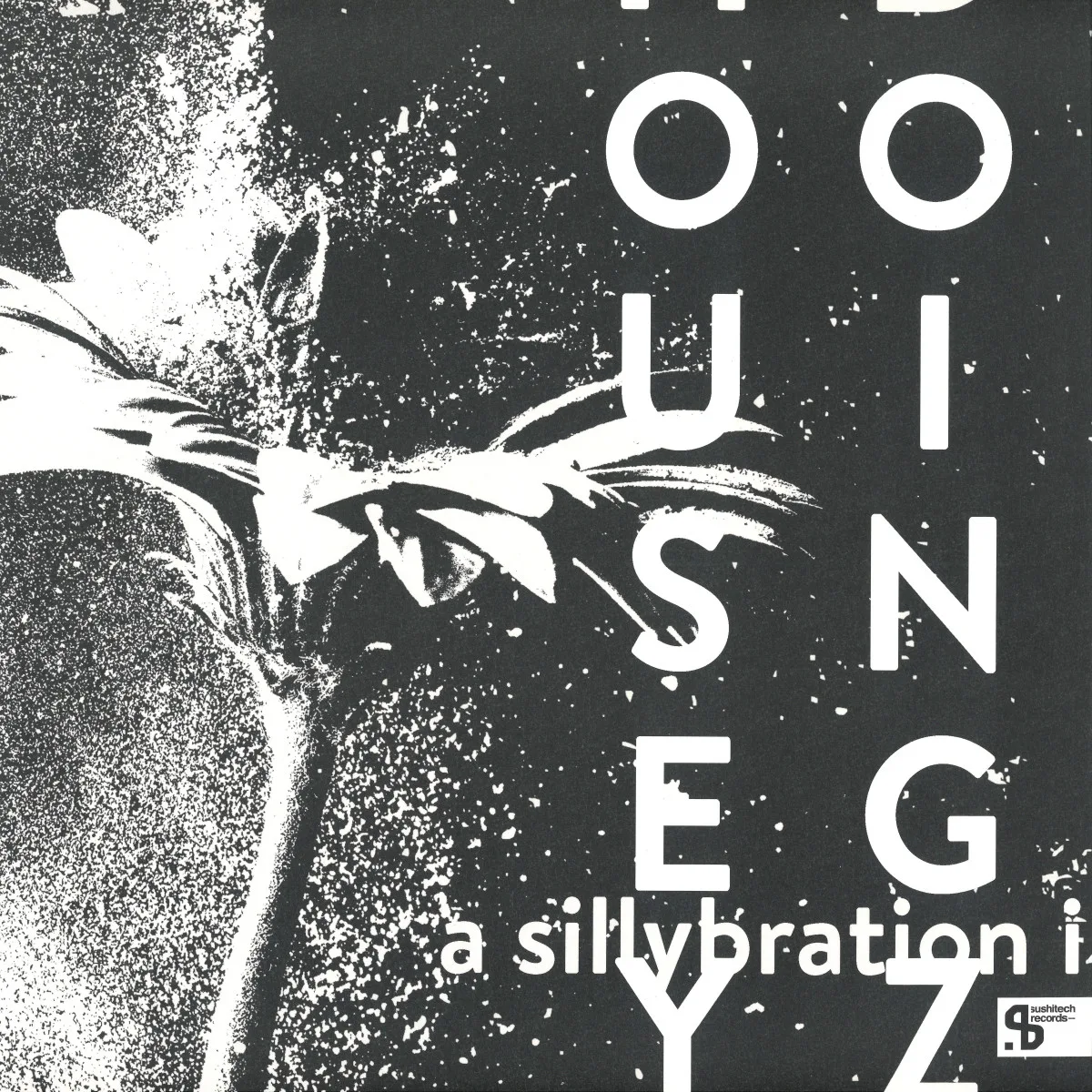 Лицевая сторона обложки — Housey Doingz — A Sillybration I