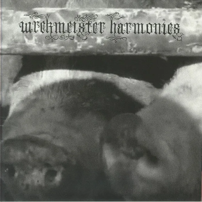 WREKMEISTER HARMONIES — Flowers In The Spring