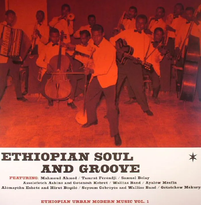 VARIOUS — Ethiopian Soul & Groove: Ethiopian Urban Modern Music Vol 1