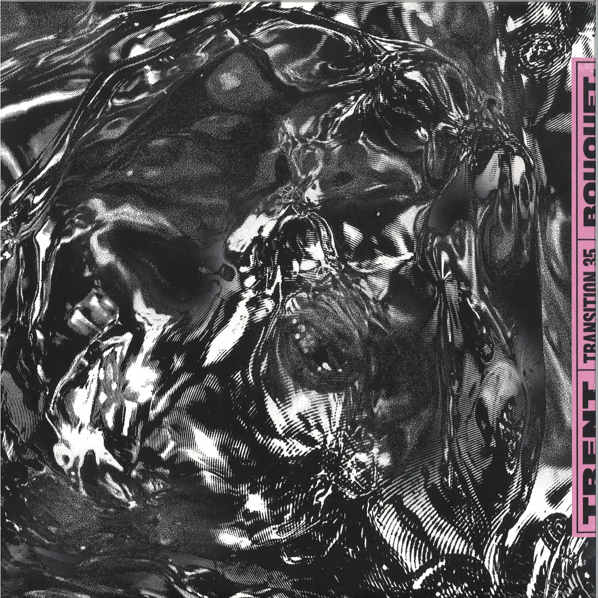 Trent — TRANSITION 35