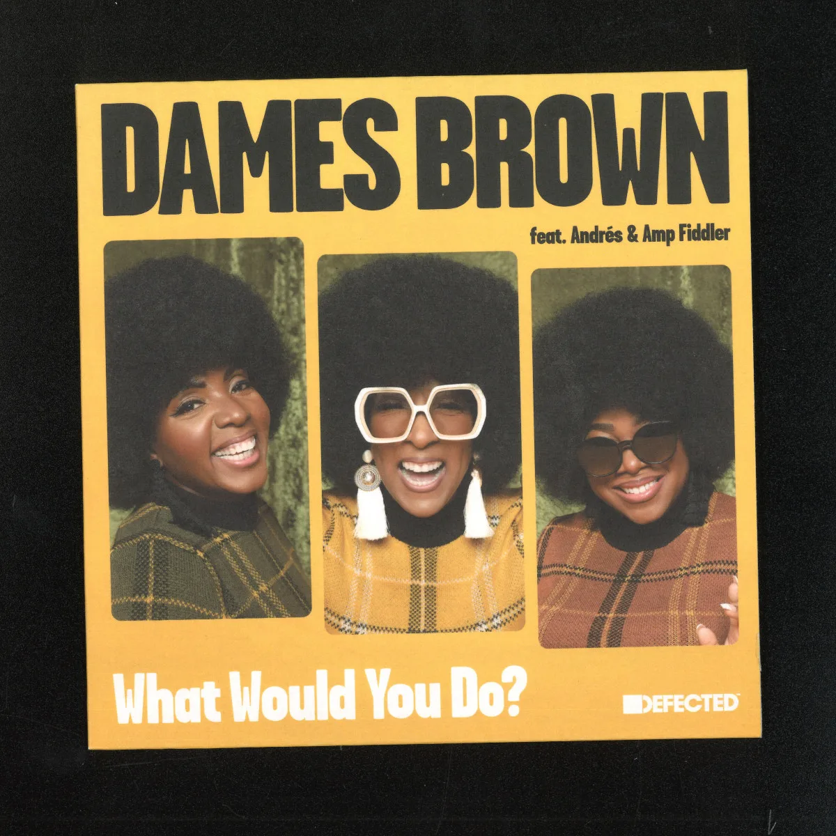 Dames Brown Featuring Andrés&Amp Fiddler — What Would You Do?