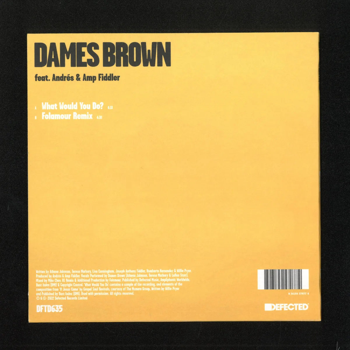 Back cover — Dames Brown Featuring Andrés&Amp Fiddler — What Would You Do?