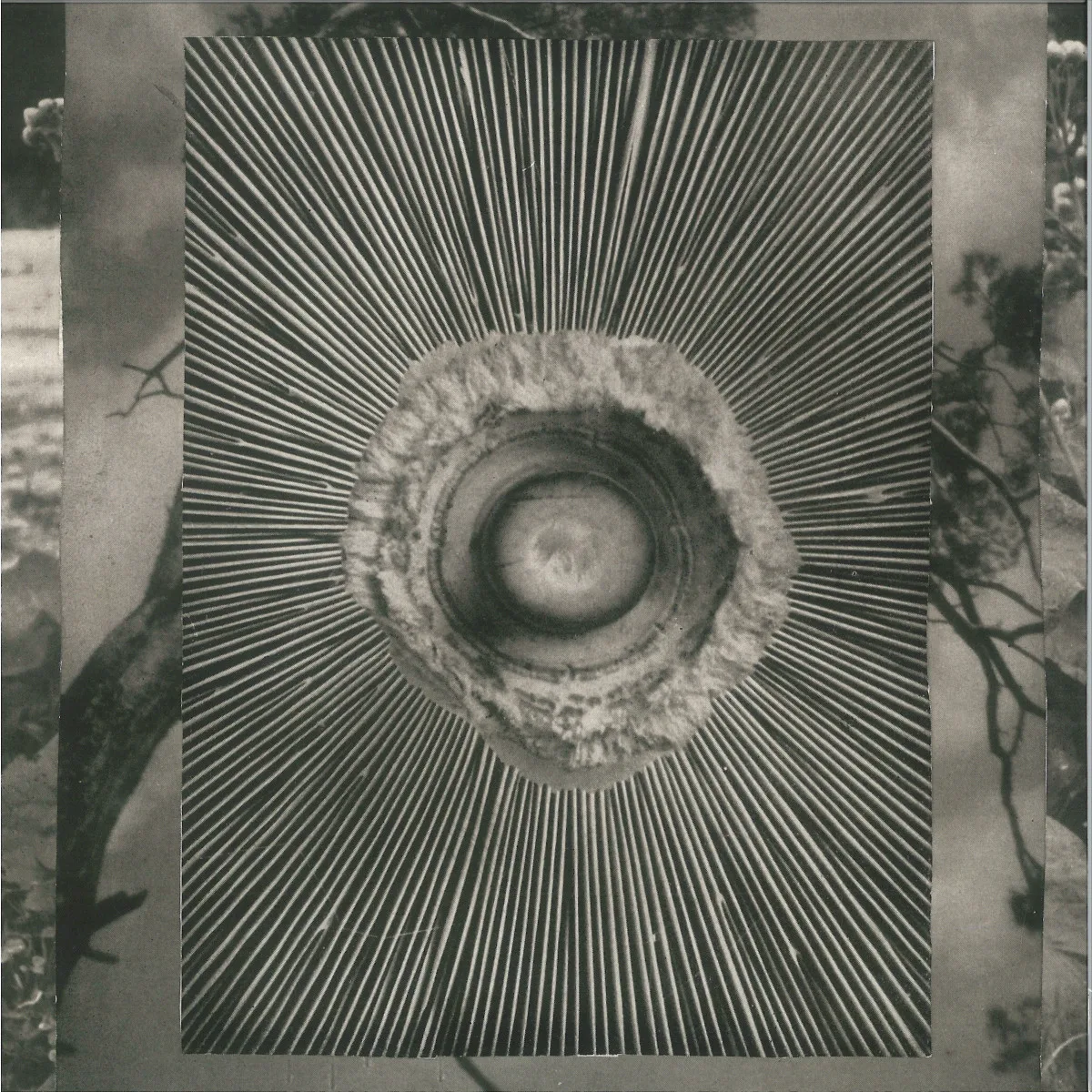 Bukkha — Into The Void