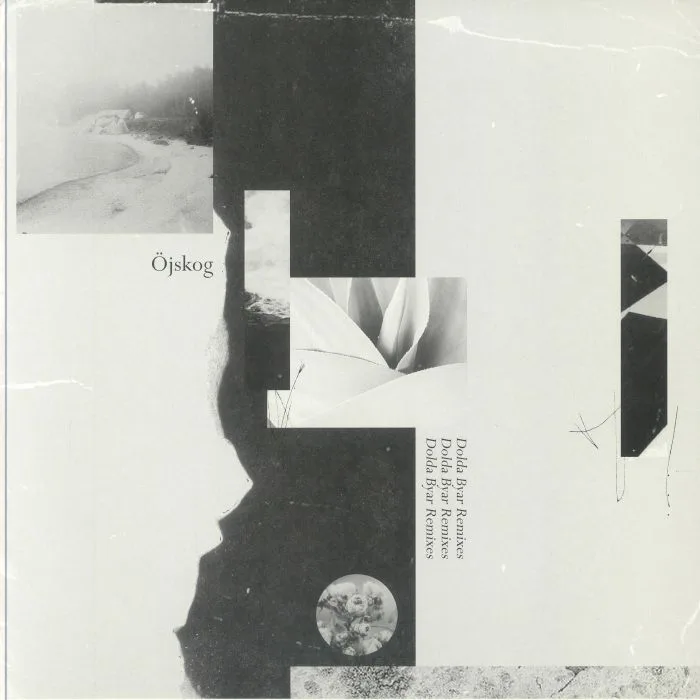 Front cover — OJSKOG — Dolda Byar (remixes)