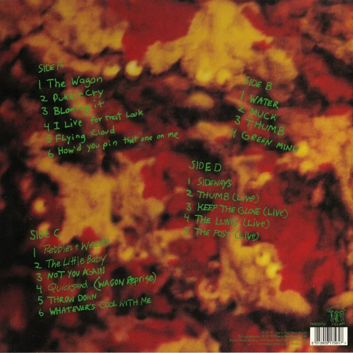 Back cover — DINOSAUR JR — Green Mind (remastered)