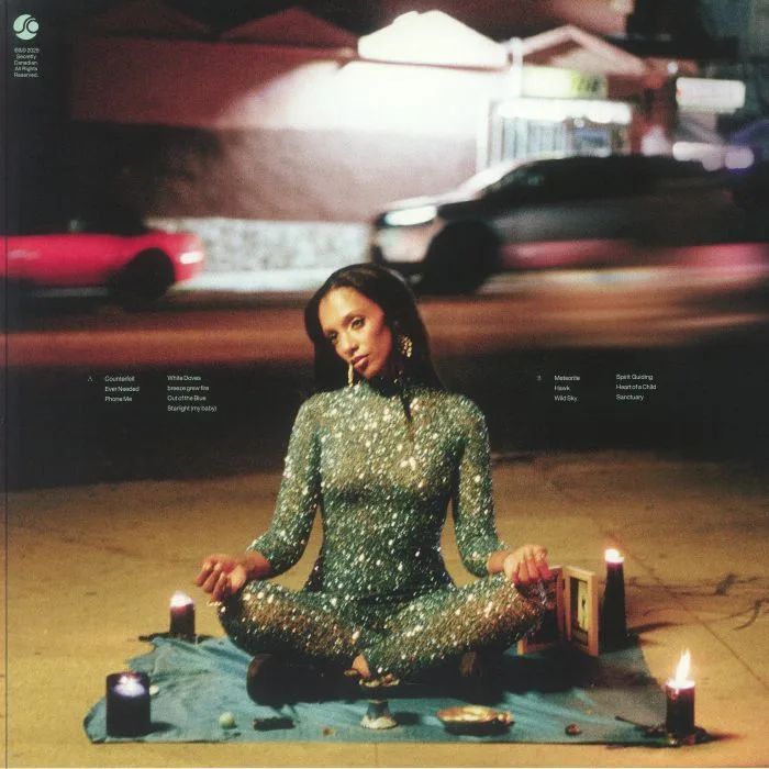 Back cover — MEREBA — The Breeze Grew A Fire