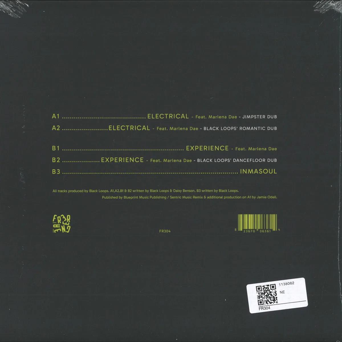 Back cover — Black Loops — Experience EP