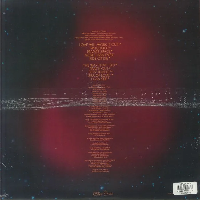 Back cover — Durand JONES & THE INDICATIONS — Private Space