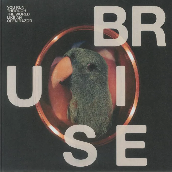 BRUISE BLOOD — You Run Through The World Like An Open Razor