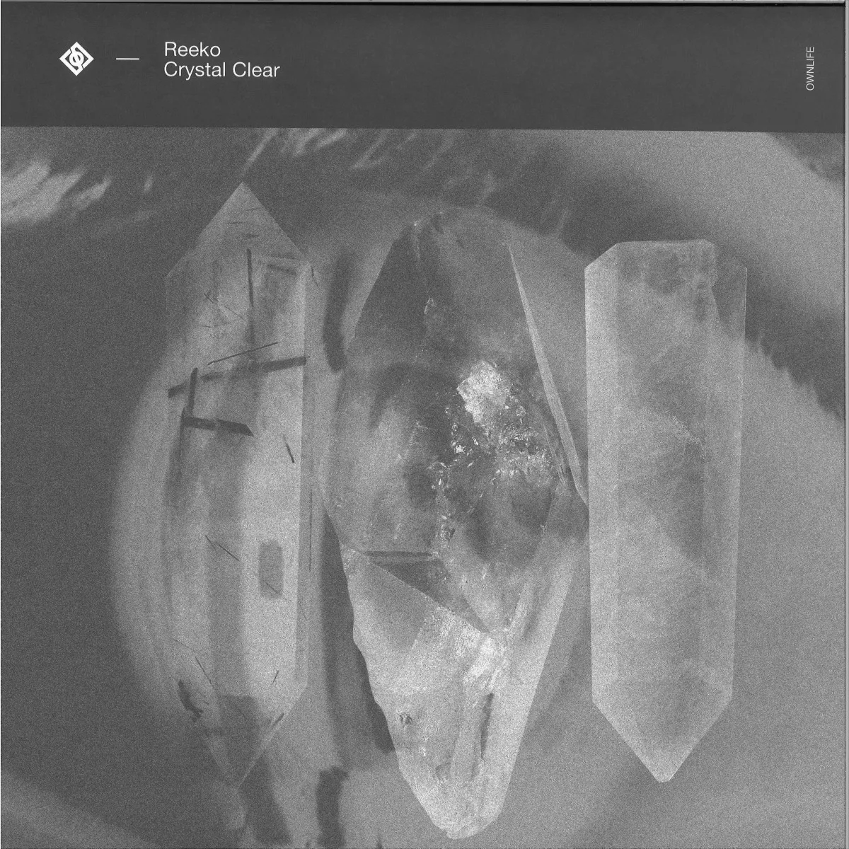 Back cover — Reeko — Crystal Clear
