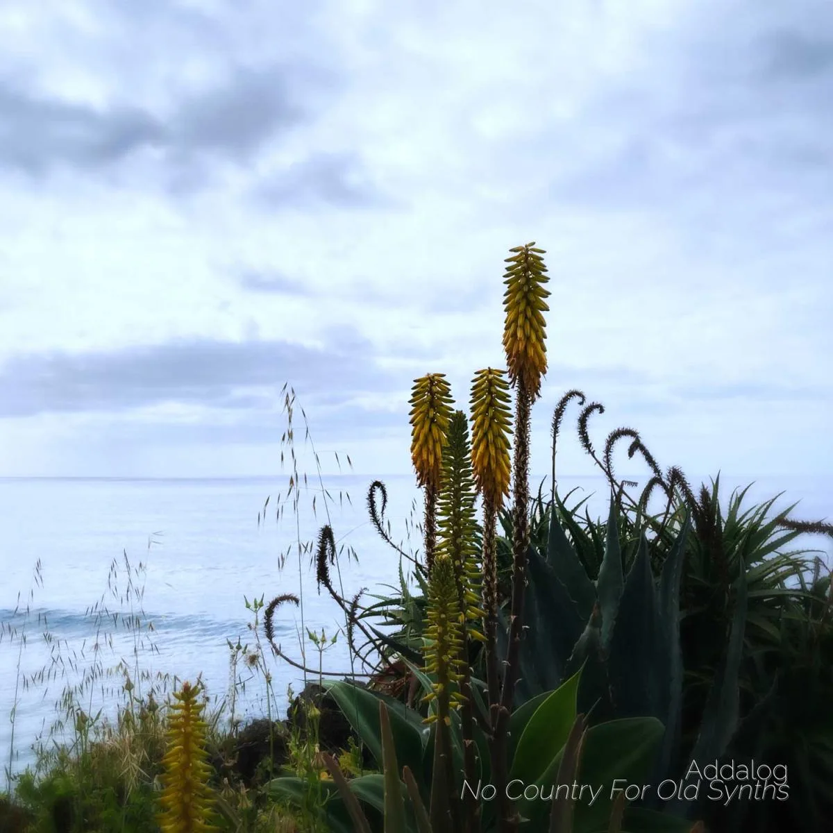 Front cover — Addalog — No Country For Old Synths