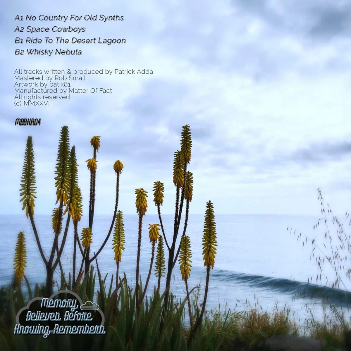 Back cover — Addalog — No Country For Old Synths