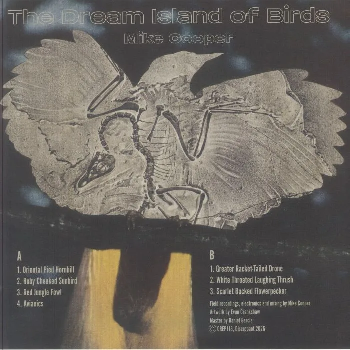 Обратная сторона обложки — Mike COOPER — Dream Island Of Birds