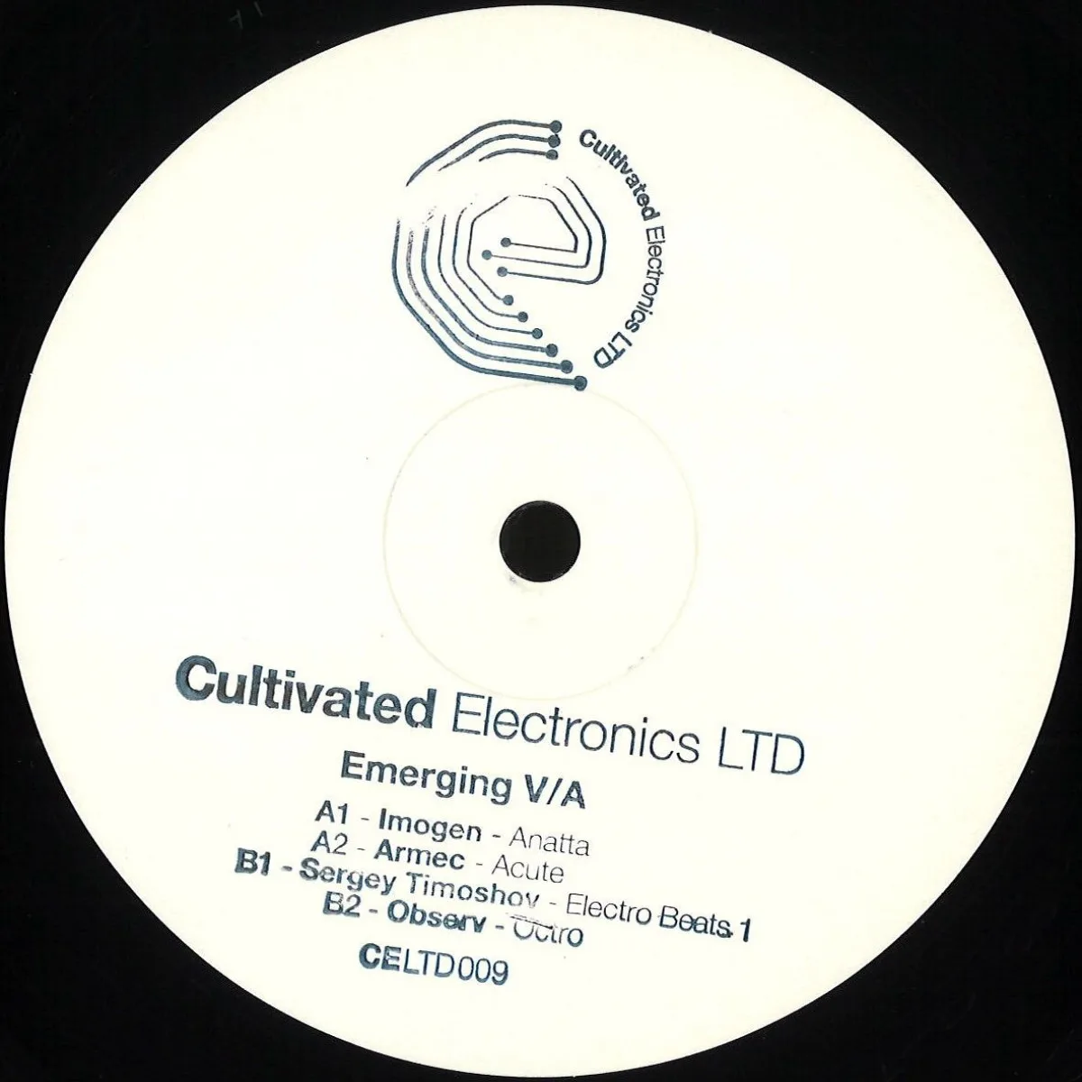 Various — Emerging V/A 2x12"