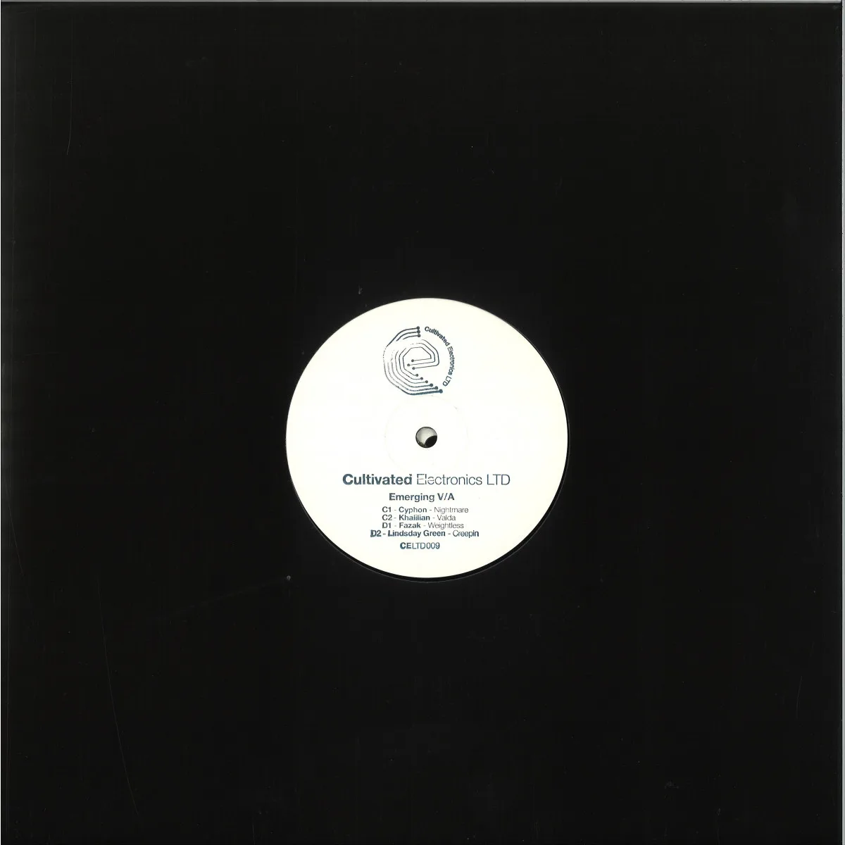 Back cover — Various — Emerging V/A 2x12"