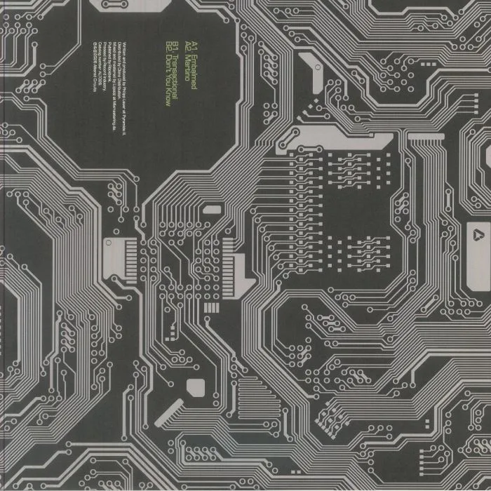 Back cover — LAUER — Embalmed In Martino EP