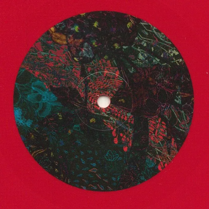 Лицевая сторона обложки — Ian POOLEY — Floris EP (reissue)