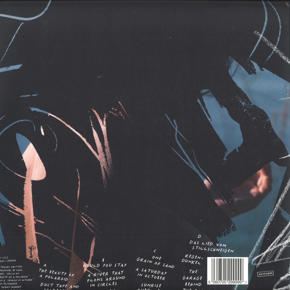 Back cover — Powel — The Beauty Of A Polaroid LP 2x12"