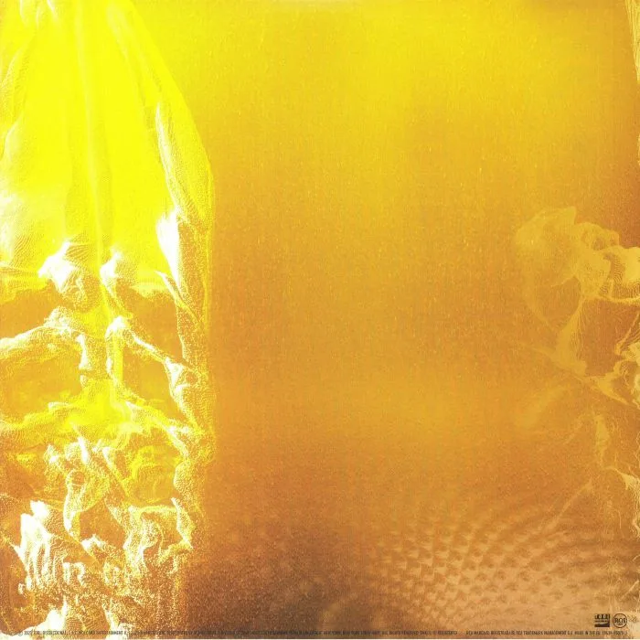 Обратная сторона обложки — TOOL — Fear Inoculum (reissue)