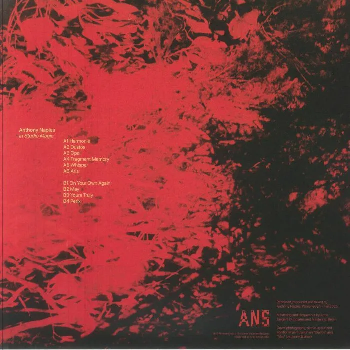 Back cover — Anthony NAPLES — In Studio Magic (B-STOCK)