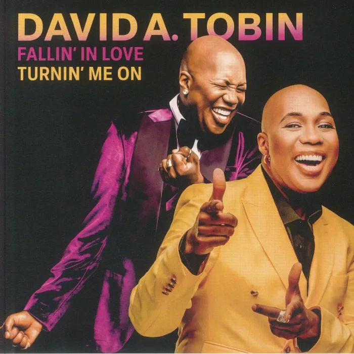 Лицевая сторона обложки — David A TOBIN — Fallin' In Love