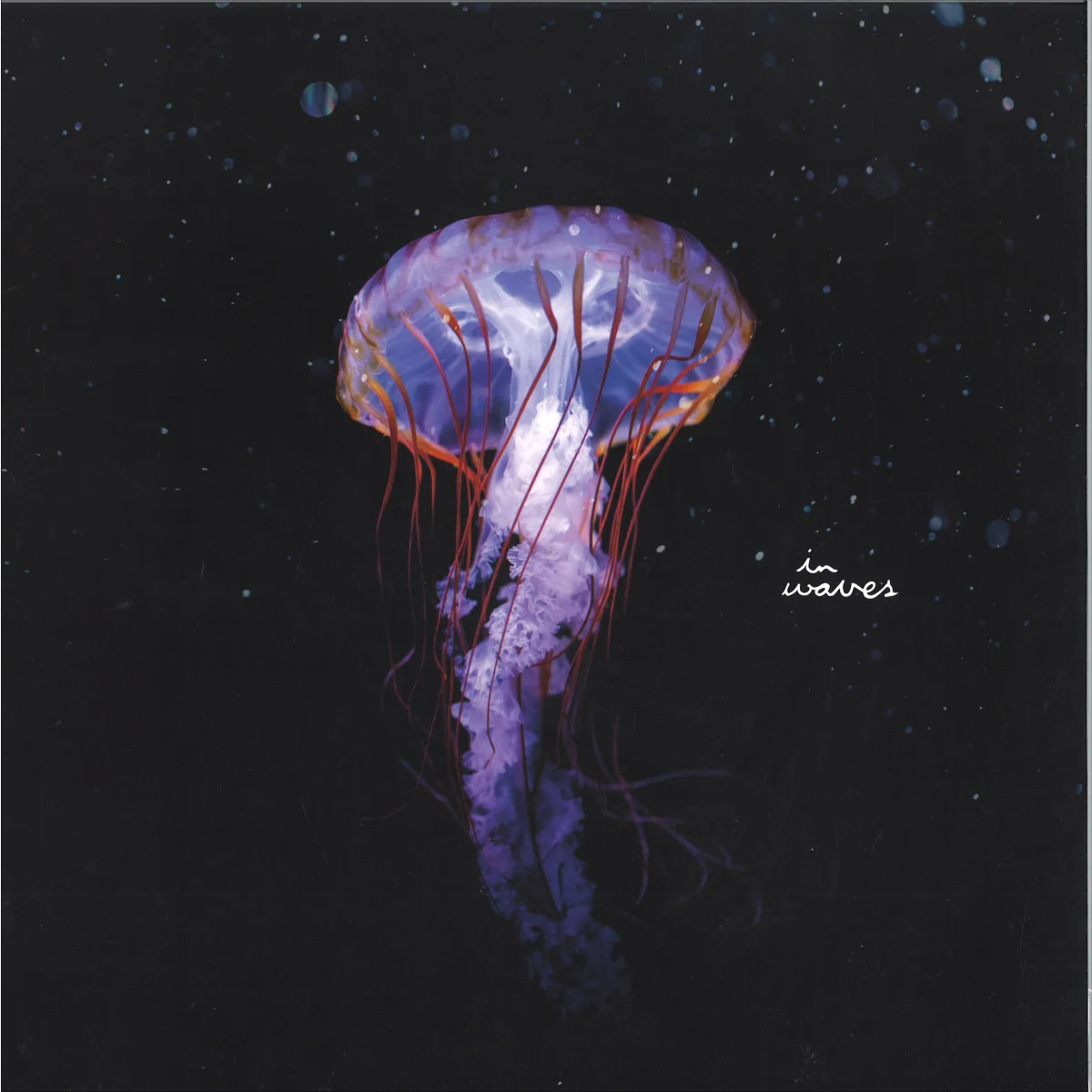 Front cover — Flowers On Monday — Pirates Of The Sun EP