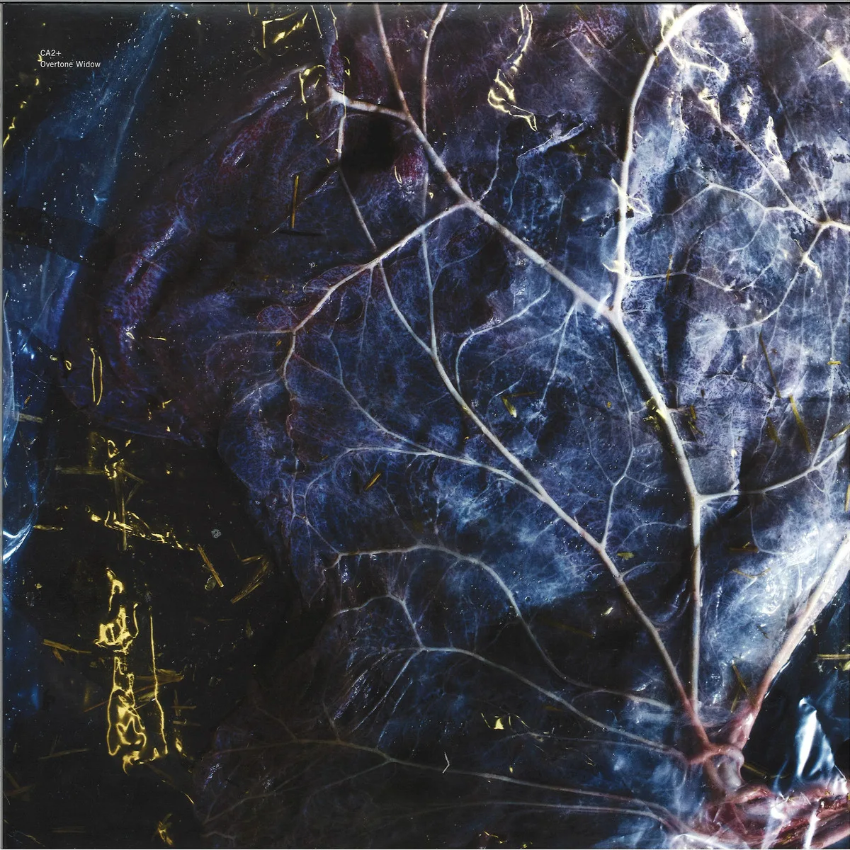 CA2 — Overtone Widow