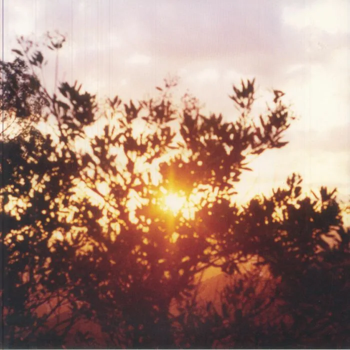 Kurt VILE / LUKE ROBERTS — Classic Love