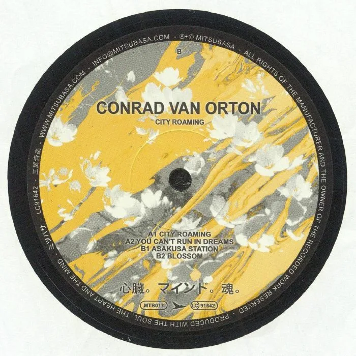 Back cover — Conrad VAN ORTON — City Roaming