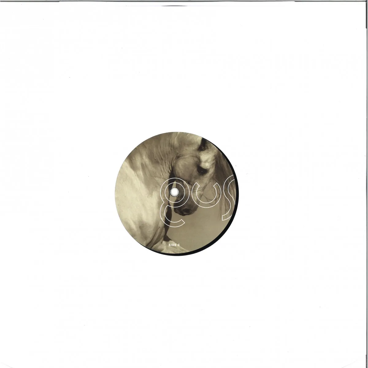 Обратная сторона обложки — Gus Gus — Arabian Horse 2x12"