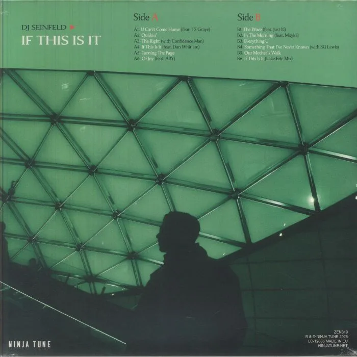 Back cover — DJ SEINFELD — If This Is It