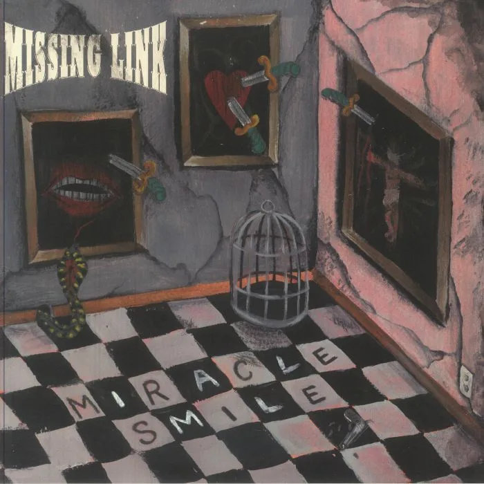 MISSING LINK — Miracle Smile