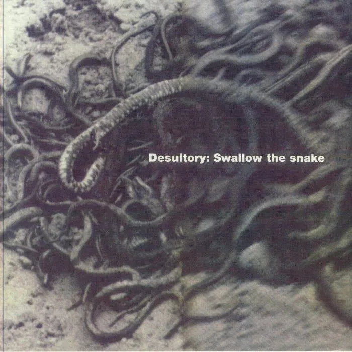 DESULTORY — Swallow The Snake (reissue)