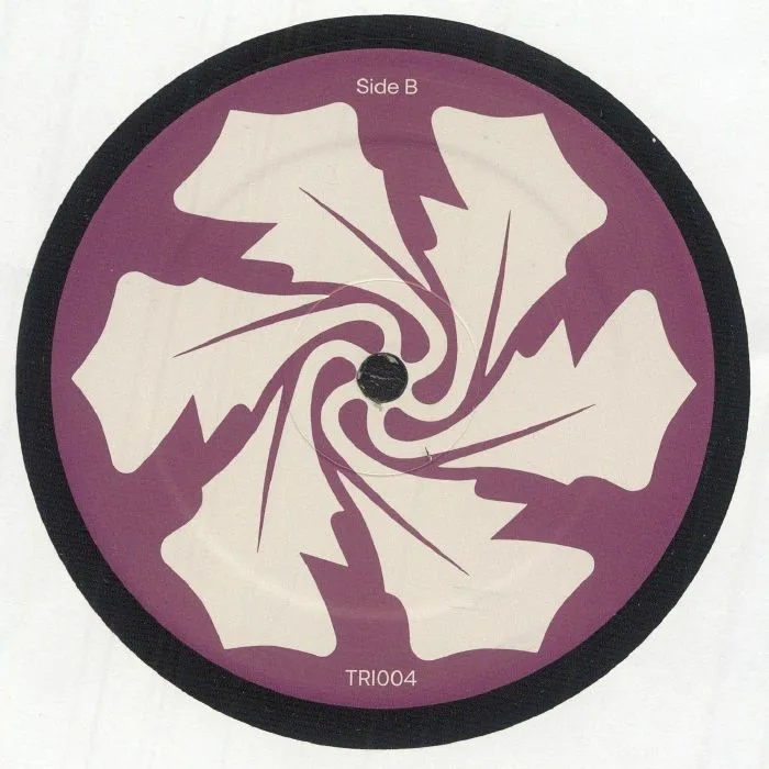 Back cover — TRASH THEORY / DFN — The Rejecteds