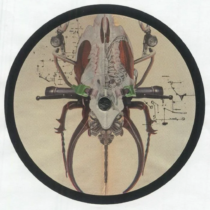 69DB / GEN UNIT — Split EP