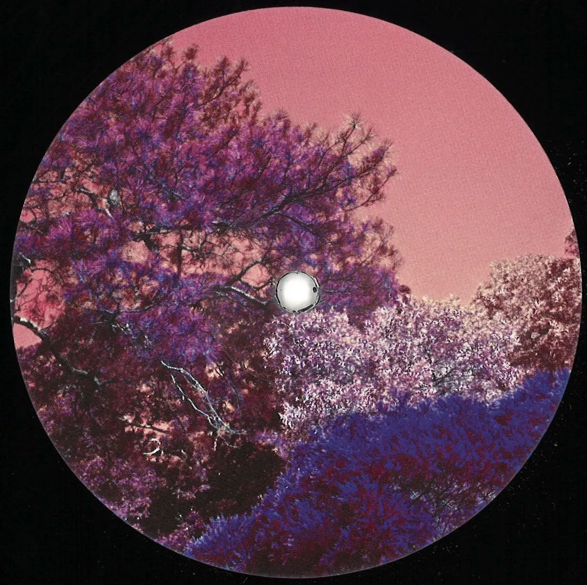 Tom Trago — SAUDADE