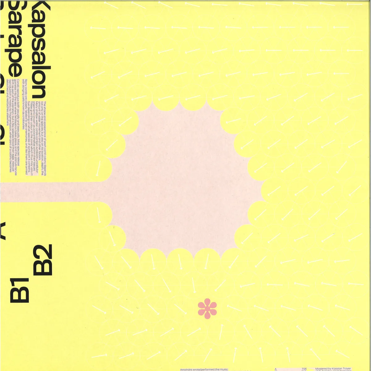Back cover — Amandra — 035