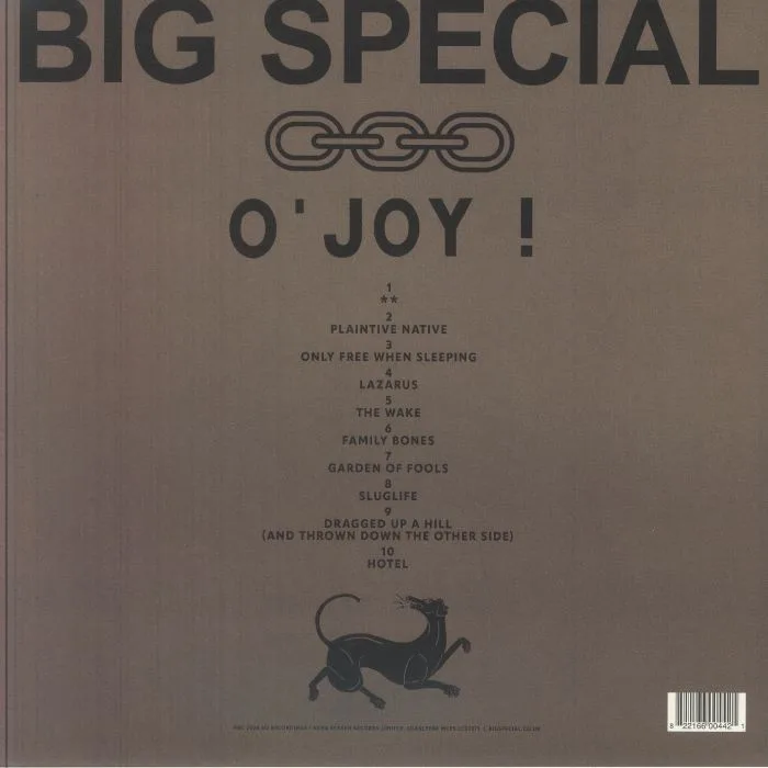 Обратная сторона обложки — BIG SPECIAL — O' Joy!