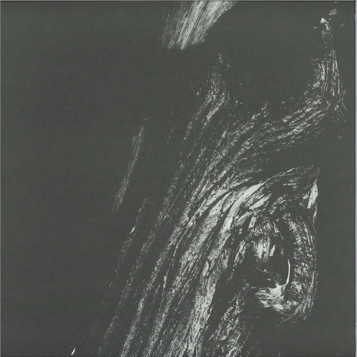 Back cover — Lleu — Low Trip