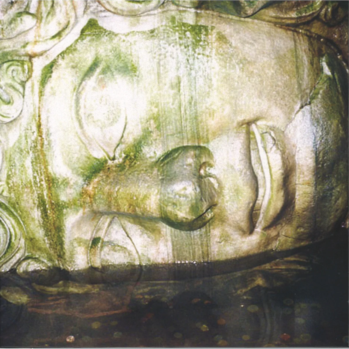 Front cover — Doc Sleep — Birds (in my mind anyway) LP