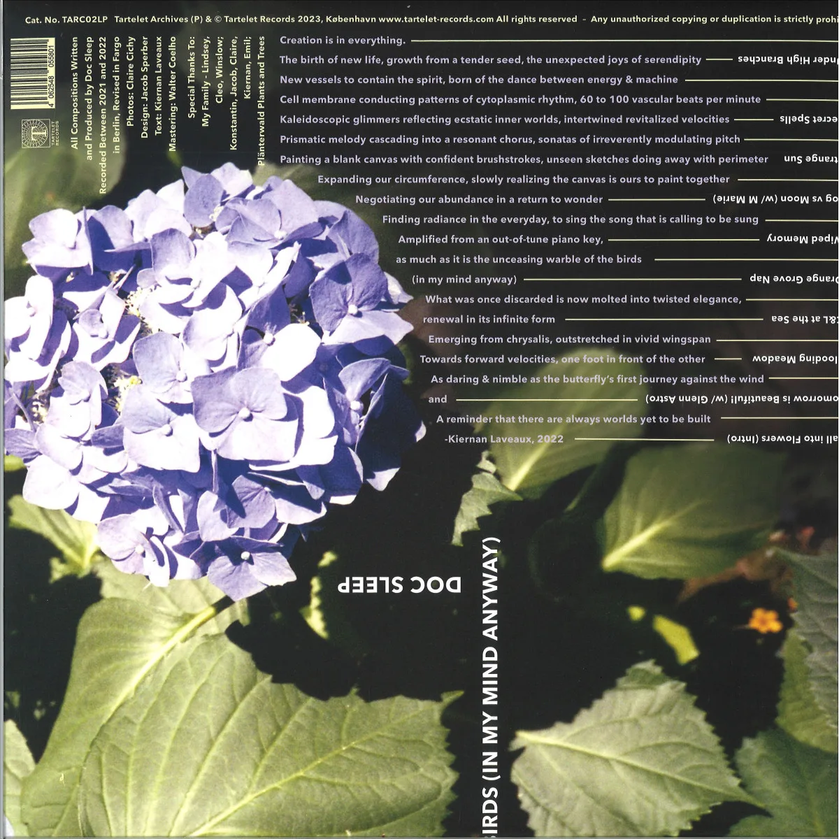 Back cover — Doc Sleep — Birds (in my mind anyway) LP
