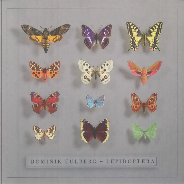Front cover — Dominik EULBERG — Lepidoptera