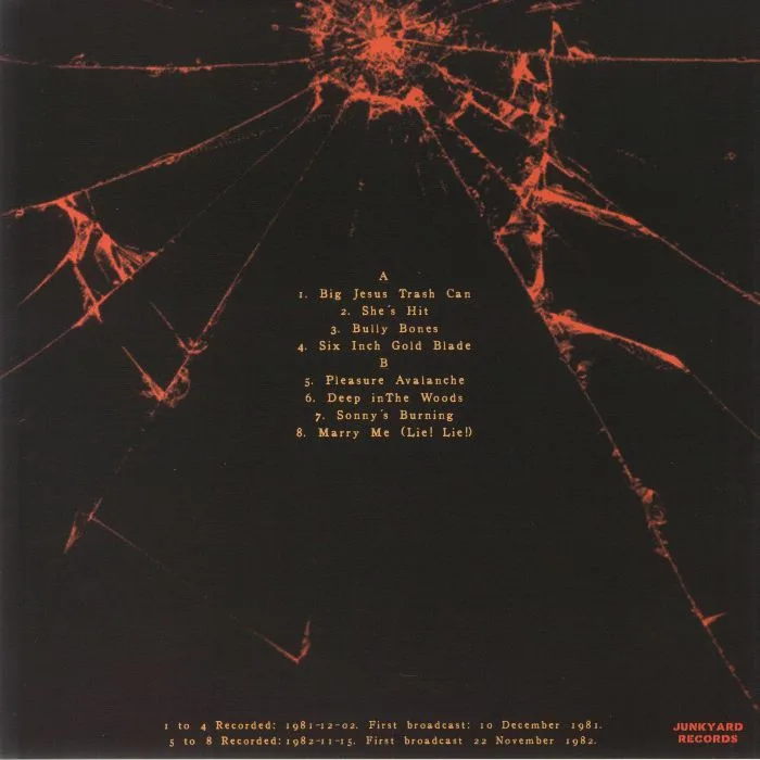 Обратная сторона обложки — The BIRTHDAY PARTY — Peel Sessions Vol 2
